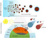 Born Dry or Born Wet? A Palette of Water Growth Histories in TRAPPIST-1 Analogs and Compact Planetary Systems